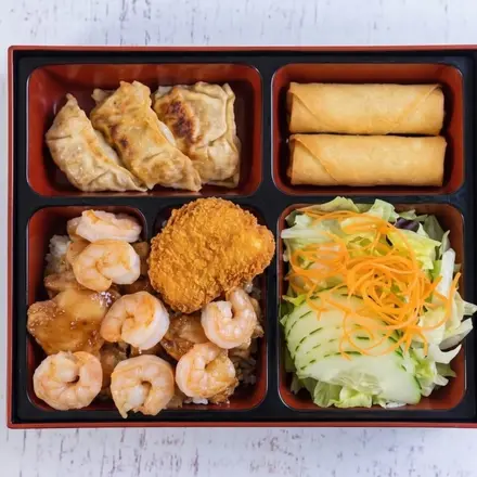 Combination Bento Box
